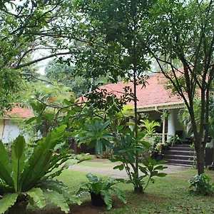 No.53 Homestay